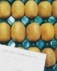 オーガニックキウイが届きました！！