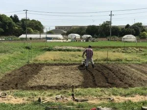 昨日はひっさしぶりのがっつり農作業！！