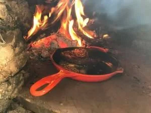 結局親子20名程で秋の魅惑食材祭に！！   2016 11/5